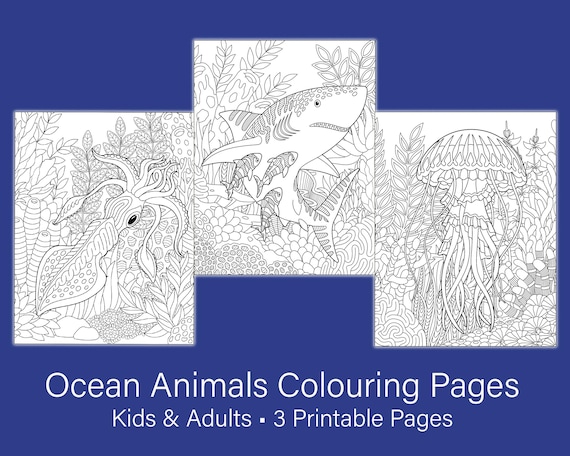 Intricate Sea Creatures Colouring Pages: Adult & Kids Art (PDF)