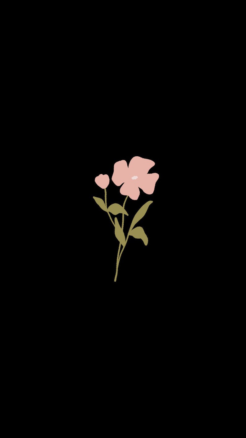May include: A digital illustration of a pink flower with a bud and green leaves on a stem, set against a solid black background. The flower has five petals and a simple, minimalist design.