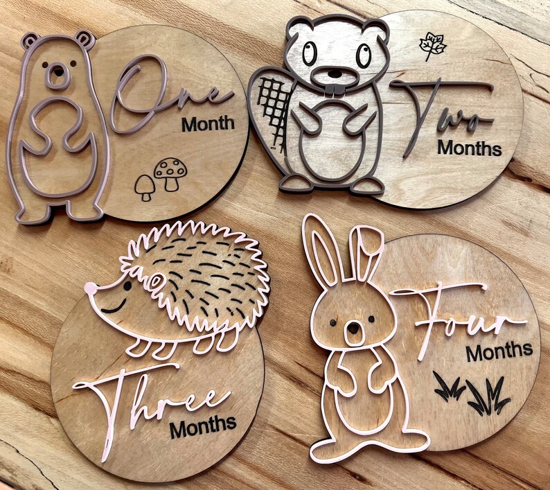 Woodland Animals Theme Monthly Milestone Baby Photo Props | Engraved ...