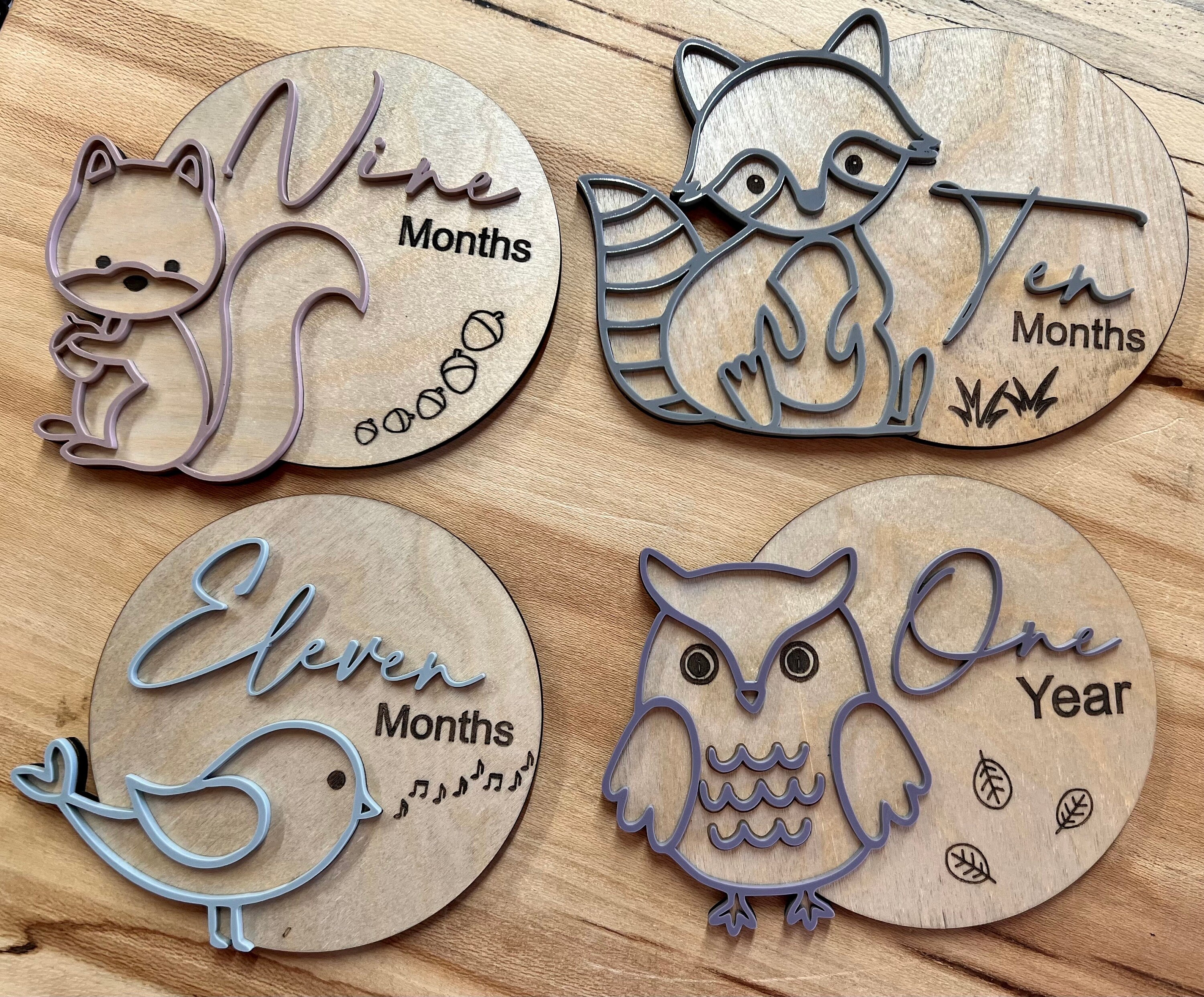 Woodland Animals Theme Monthly Milestone Baby Photo Props - Etsy