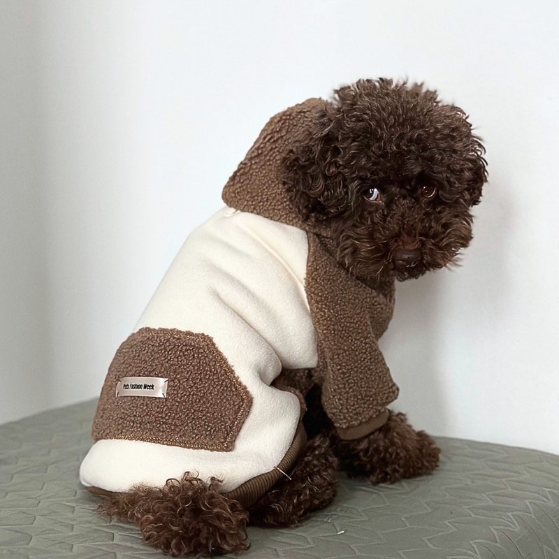 Cute Dog Clothes Etsy — free download