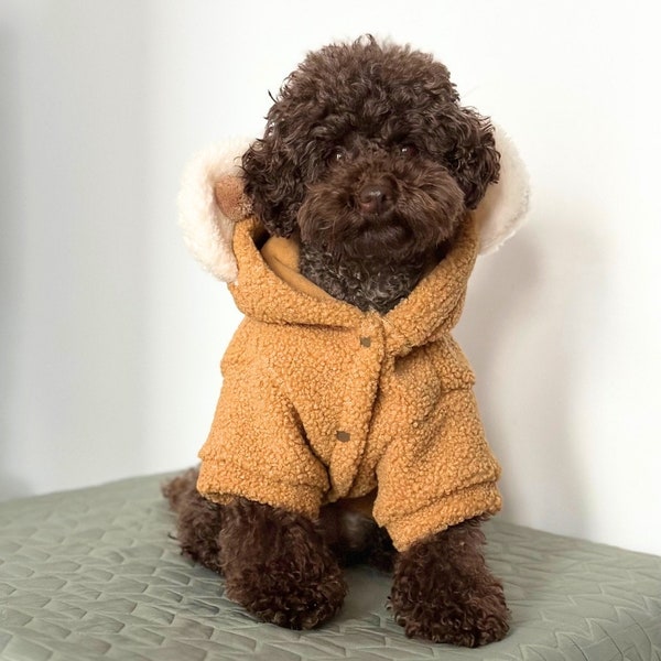 Dog hoodie for small dog - poodles, pomeranians, chihuahuas, maltipoos, dogmum, dog fashion, cute jumper small dog, teddy bear, coquette