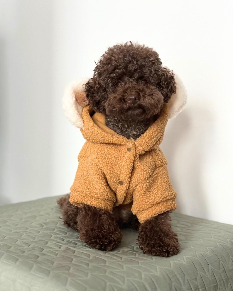 Dog Hoodie for Small Dog Poodles, Pomeranians, Chihuahuas, Maltipoos