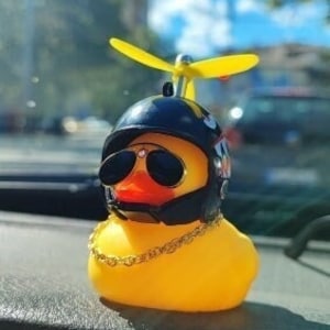 Duck Car Charm 