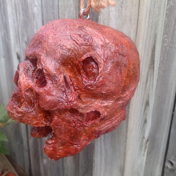 Severed Corpse Head - Horror SFX Prop - Halloween