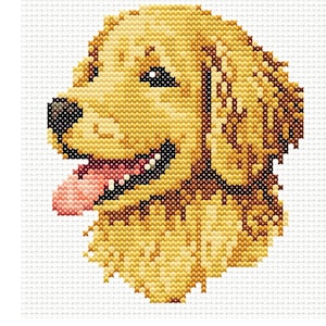 K&ouml;nnte beinhalten: Kreuzstich-Muster f&uuml;r ein Golden Retriever-Welpen-Portr&auml;t. Der Welpe schaut nach links mit herausgestreckter Zunge. Die Gr&ouml;&szlig;e des Designs betr&auml;gt 60 x 65 Stiche.