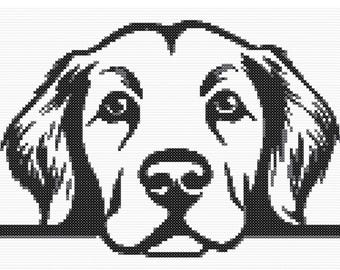 Patrón de punto de cruz de un golden retriever: Retrato de mascota fácil para principiantes (descarga en PDF)