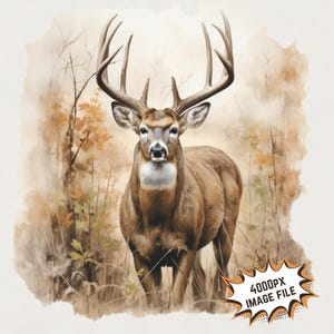 May include: A white-tailed deer buck with large antlers stands in a woodland setting. The deer is looking directly at the viewer with a serious expression. The background is a watercolour-style painting of trees and leaves in shades of brown and orange.