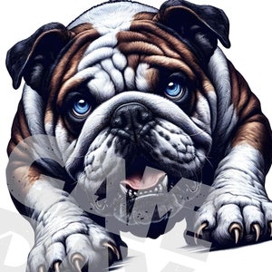 Aquarela bulldog atacando png Design de sublimação de mascote para camisetas moletom com capuz canecas, meninos meninas homens mulher | Espírito escolar dos Bulldogs