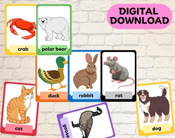 Flashcards de animais: vocabulário sobre vida selvagem, educação domiciliar (download digital)