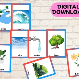 64 Nature Vocabulary Flashcard Ferramenta educacional para impressão do ambiente de aprendizagem