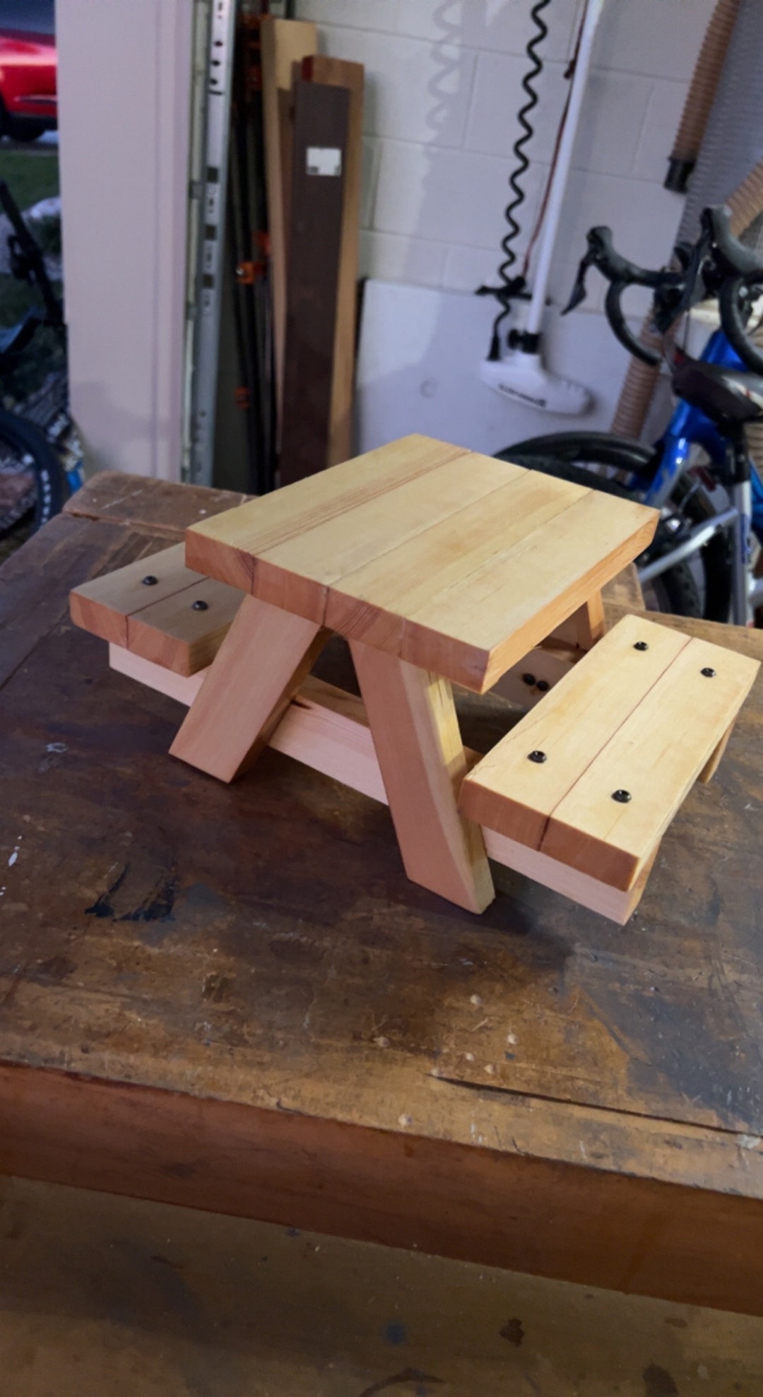 Squirrel Picnic Table Etsy