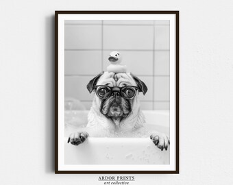 May include: A black and white photo of a pug wearing glasses and a rubber ducky on its head, sitting in a bathtub full of bubbles.