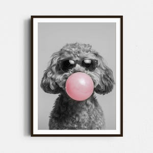 Può includere: Una foto in bianco e nero di un cane che indossa occhiali da sole e soffia una bolla rosa. Il cane è un barboncino con il pelo riccio.