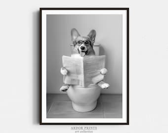 May include: A black and white photograph of a corgi dog wearing glasses and sitting on a toilet reading a newspaper.