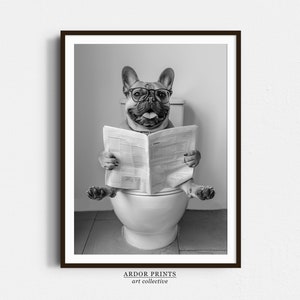 May include: A black and white photo of a French bulldog wearing glasses and sitting on a toilet, reading a newspaper.