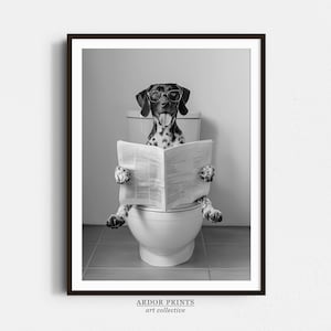 May include: A black and white photograph of a dog wearing glasses and sitting on a toilet reading a newspaper. The dog is looking at the camera.
