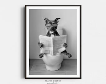 May include: A black and white photograph of a dog wearing glasses and sitting on a toilet, reading a newspaper.