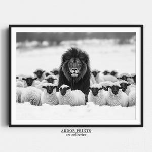 Impresión de león entre ovejas, impresión en blanco y negro, arte de pared de león, fotografía de animales, póster de animales, decoración motivacional, arte de pared de oficina de moda