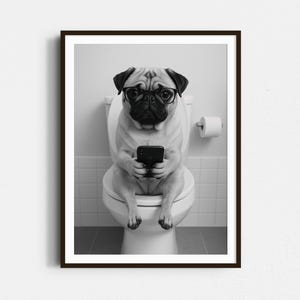 May include: A black and white photograph of a pug wearing glasses and sitting on a toilet, holding a smartphone.
