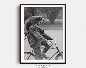 Man op de fiets met twee honden portret, vintage teckel kunst aan de muur, zwart-wit print, oude fotografie, grappige hond kunst aan de muur, retro wand decor