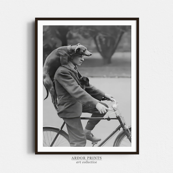 Man on Bike With Two Dogs Portrait, Vintage Dachshund Wall Art, Black and White Print, Old Photography, Funny Dog Wall Art, Retro Wall Decor