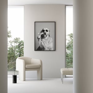 Op de afbeelding: Een zwart-witfoto van een golden retriever die een zonnebril draagt en een martini-glas vasthoudt. De foto is ingelijst en hangt aan een witte muur in een moderne woonkamer.
