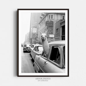 Lama am Times Square New York Wall Art, Vintage Alpaka Druck, Schwarz Weiß Druck, Lustiges Tier Poster, Alte Fotografie, Retro Wand Dekor