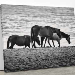 Wilde Pferde am Strand von Assateague | Pferdeliebhaber Geschenk Druck für die Dekoration Pferdefotografie Druck- für Wohnkultur schwarz und weiß Pferd Druck