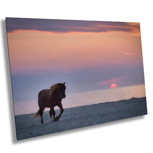 Wildes Pferd am Strand Assateague Island Geschenke-Fotografie Pferd Kunst-für Wände Geschenk-Für Pferdeliebhaber Wallart-Sunrise Pferdekunst-zum Dekorieren