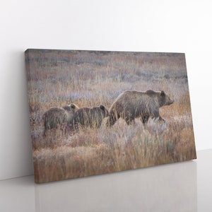 Drei Bären gehen - Grizzlybär Mama und Cubs im Grand Teton National Park Wildlife Art Tierliebhaber Geschenk