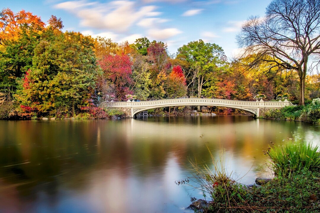 NYC Wall Art Bow Bridge Manhattan Central Park in Fall - Etsy