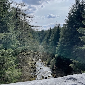 May include: A scenic view of a river winding through a lush forest. The image captures a natural landscape with tall, green trees lining the riverbanks under a cloudy sky. The foreground features a gray, textured surface.