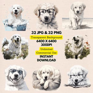 Große Pyrenäen Aquarell Clipart PNG JPG Bundle Sofortiger digitaler Download unbegrenzte kommerzielle Nutzung, Geburtstagseinladung machen, Papier Handwerk
