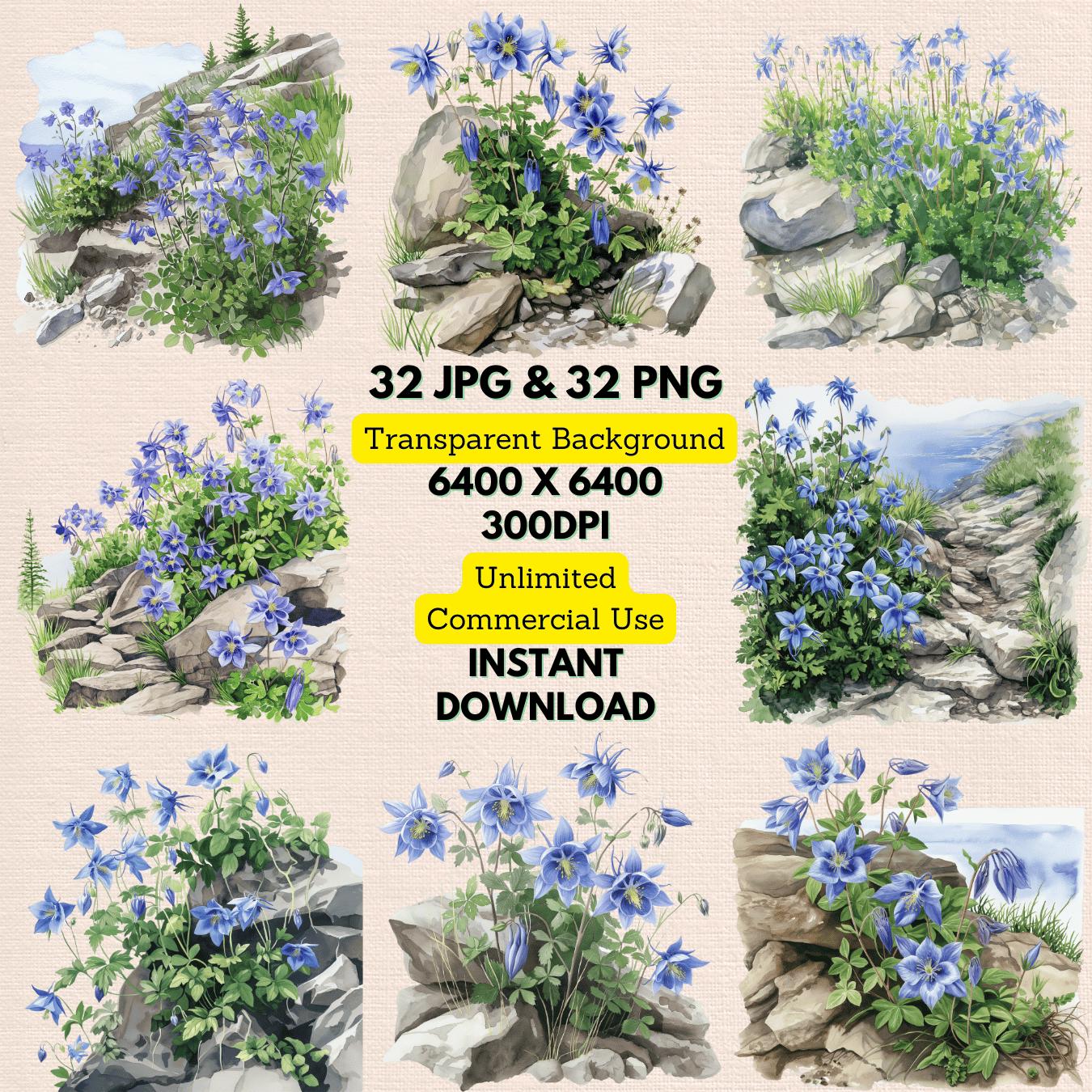 フランス産　アシナカコガネ　セット　Hoplia coerulea blue Hoplia coerulea - Etsy 日本