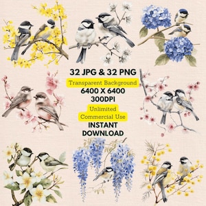 Bundle aquarelle de mésanges perchées en fleurs arbre en fleurs tout usage commercial en téléchargement numérique faire-part de mariage Art Journal
