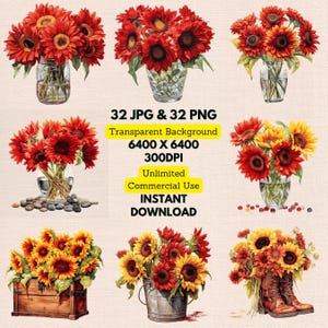 Aquarela Rubi Vermelho Girassol Helianthus Clipart PNG Download instantâneo para cartão de convite de casamento para impressão, arte de parede, artesanato de diário de lixo
