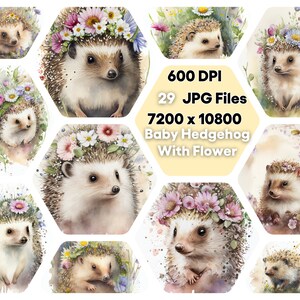 Bundle de cliparts aquarelle bébé hérisson, JPG animal mignon, téléchargement numérique instantané, usage commercial illimité, carte d'invitation d'anniversaire pour enfants