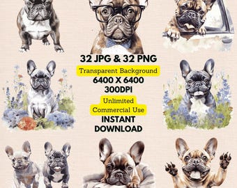 May include: A set of 32 digital illustrations of French Bulldogs in various poses. The illustrations are in a watercolor style and feature a variety of backgrounds, including flowers, a car, and a basket. The illustrations are high-resolution and perfect for use in digital projects.