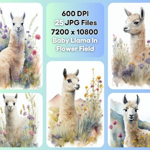Baby lama in bloemenveld aquarel clipart bundel, schattige dieren JPG instant digitale download, onbeperkt commercieel gebruik verjaardagsuitnodiging