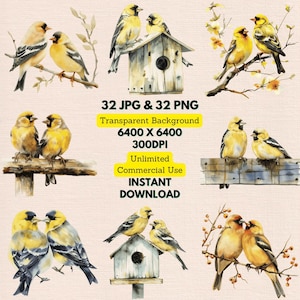Paire de couple mignon oiseau jaune chardonneret aquarelle se percher des cliparts PNG Bundle téléchargement numérique faire-part de mariage carte de voeux journal indésirable