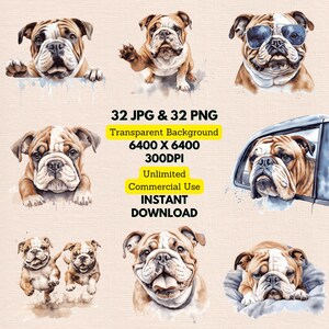 Bulldog Watercolor Clipart PNG JPG Bundle Instant Digital Download, Unlimited Commercial Use, Making Birthday Invitation Card, Paper Craft