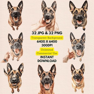 Pastor belga malinois mirando hacia arriba, saludo, dueño emocionado, acuarela, clipart PNG JPG, paquete, invitaciones de cumpleaños, tarjetas, papel, manualidades, arte de pared, diario basura