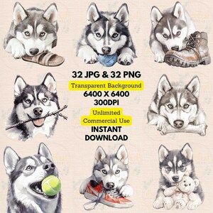 Jouet de chaussure à mâcher husky sibérien jouant à la balle de tennis ours en peluche aquarelle Clipart PNG JPG lot carte d'invitation d'anniversaire imprimable chambre d'enfant