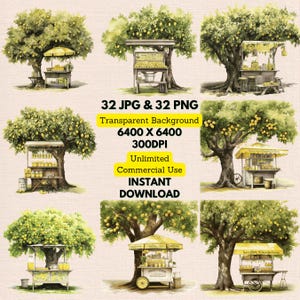 Stoisko z lemoniadą pod drzewem cytrynowym Akwarela Clipart PNG JPG Pakiet Natychmiastowe pobieranie cyfrowe, nieograniczone użytkowanie, zaproszenie urodzinowe, rzemiosło papierowe