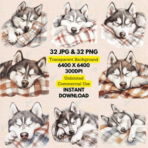 Husky sibérien dormir couverture à carreaux aquarelle Clipart PNG JPG lot anniversaire carte d'invitation Scrapbooking Junk Journal chambre d'enfant mur Art déco