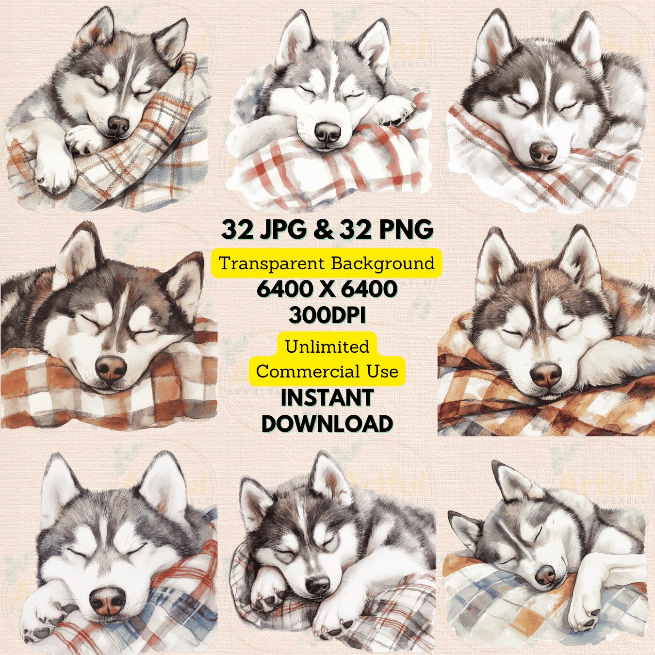 Buy Chukchi Online In India India