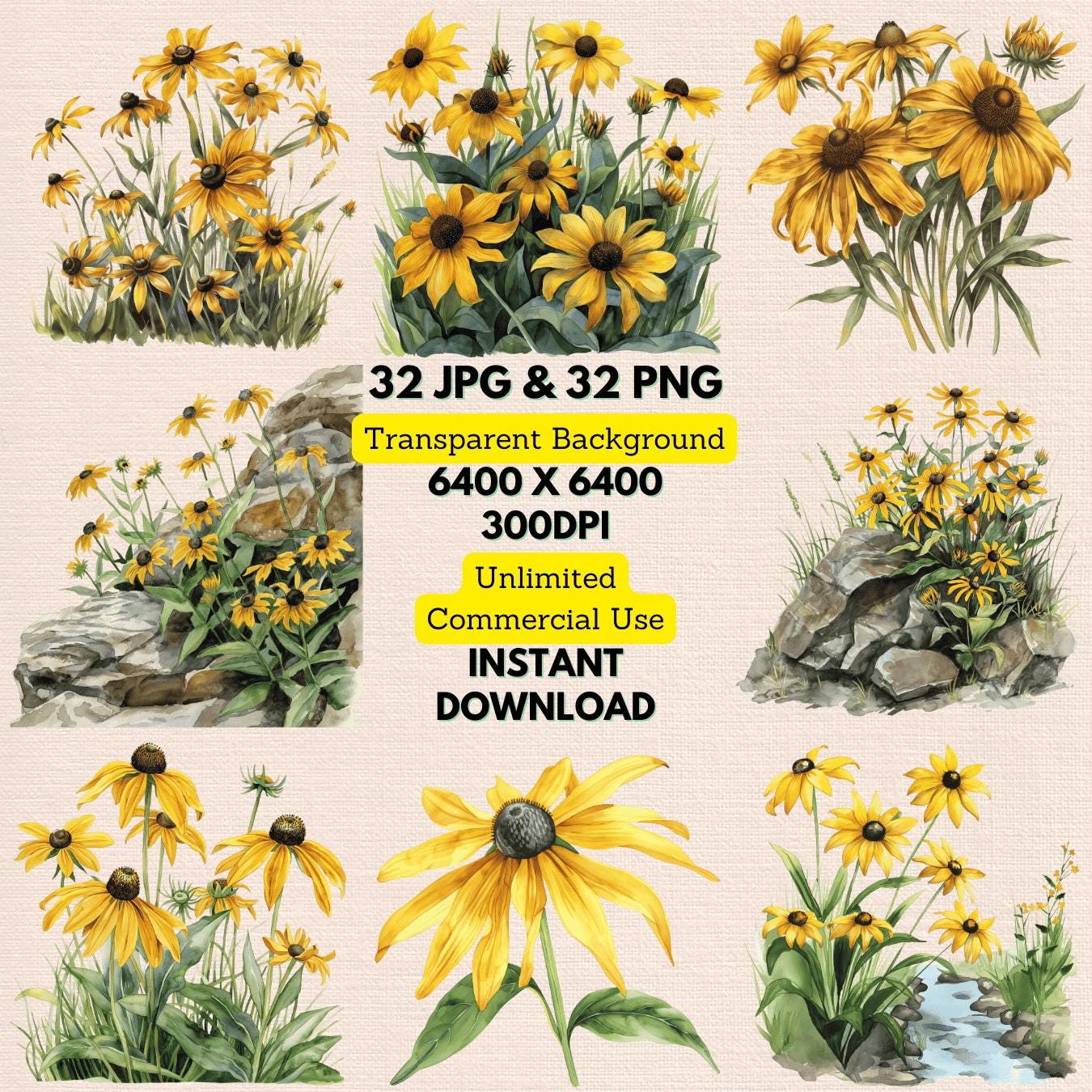 Watercolor Black Eye Susan Flower Clipart PNG Bundle Instant Download, Unlimited Commercial Use, Wedding Invitations, Journaling Cards Craft