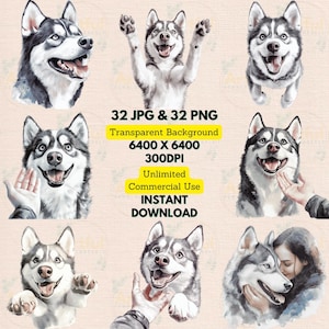 Portrait de Husky sibérien, heureux de souhaiter la bienvenue au propriétaire des cliparts aquarelle, PNG JPG, lot d'anniversaire, invitation, fabrication de cartes, scrapbooking, art mural imprimable
