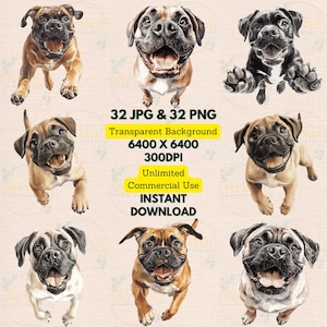 Mastiff portret opgewonden aquarel clipart PNG JPG bundel maken verjaardag nodigt papier scrapbooking Craft afdrukbare kwekerij Wall Art Decor
